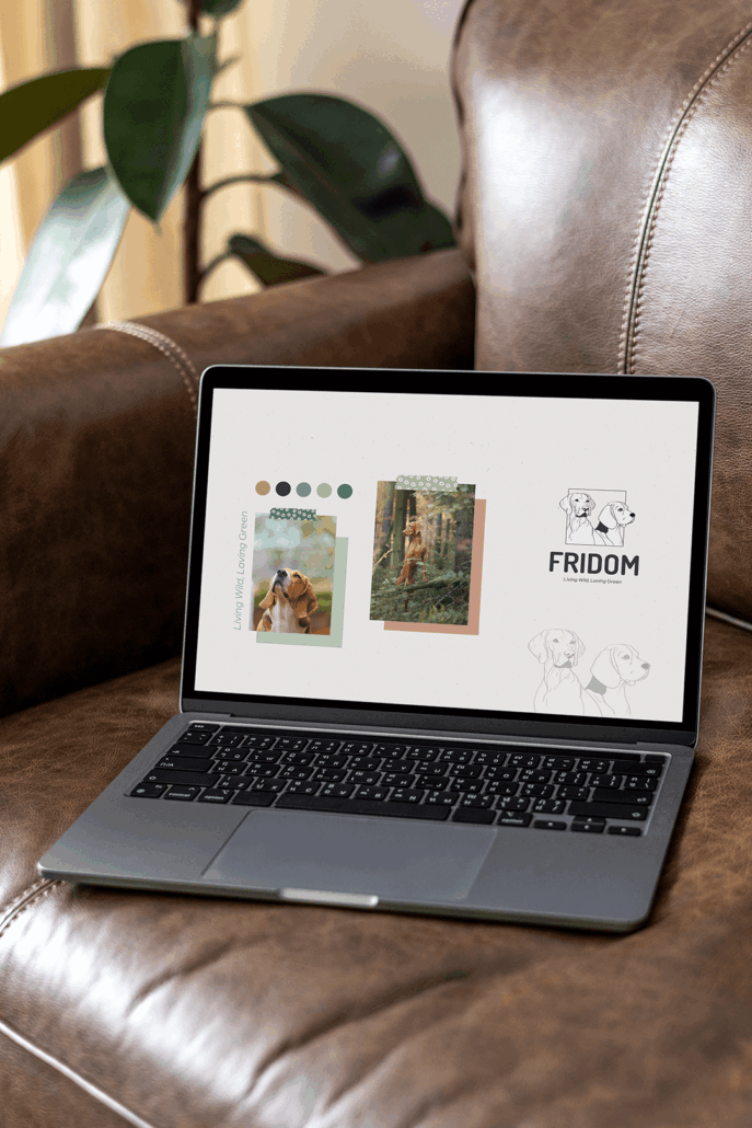 Fridom Logo e Immagine coordinata