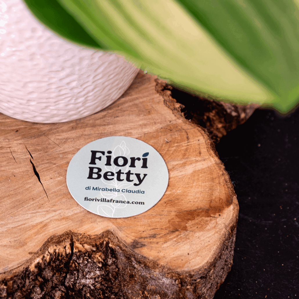 Fiori Betty Biglietti da visita