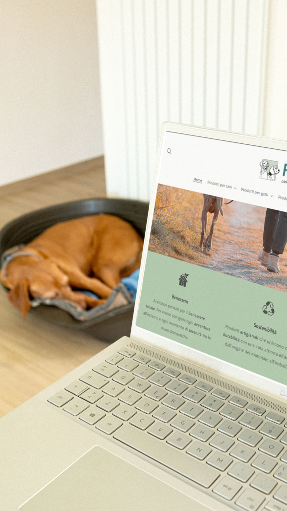 Consulenza ecommerce
